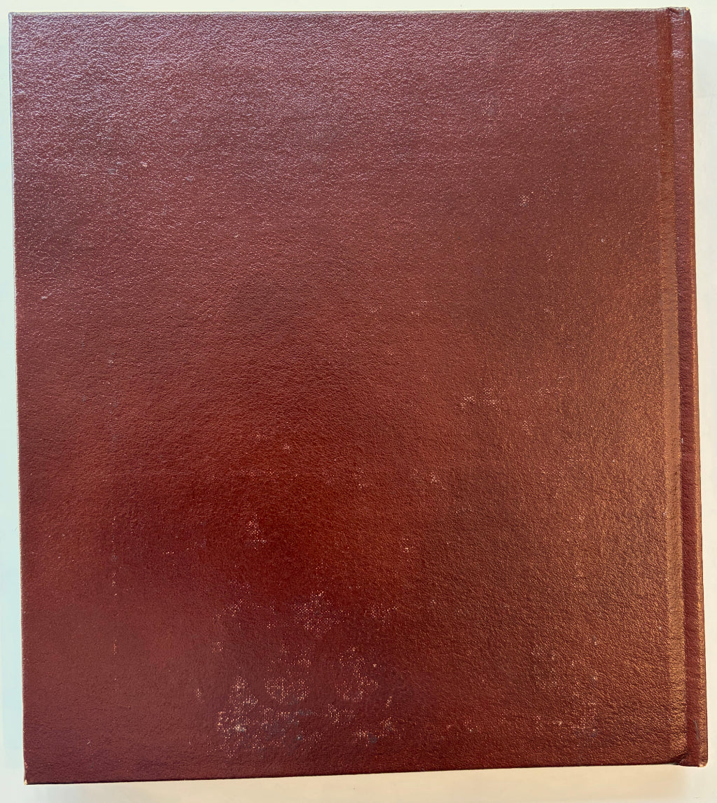 Leather back cover showing small flaws at bottom