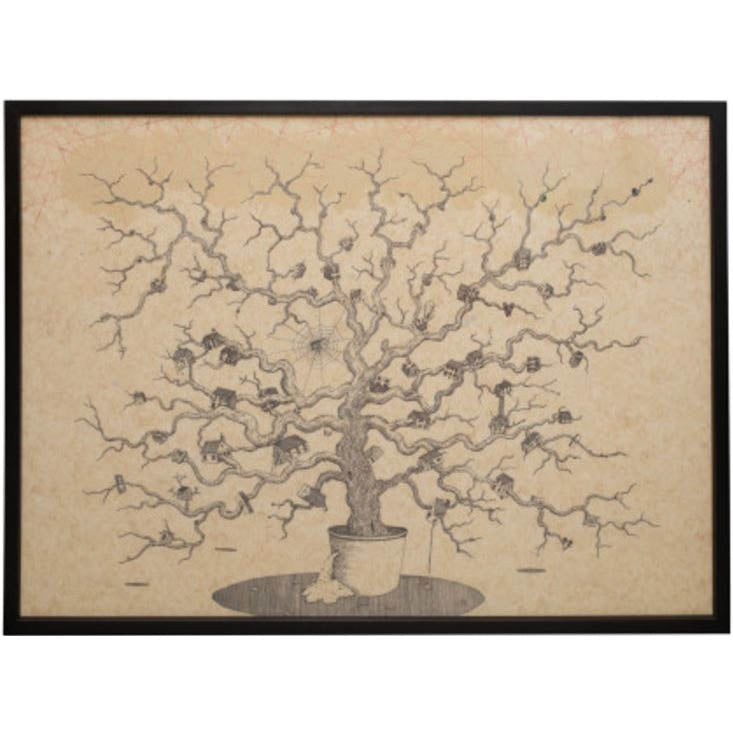 Stephen Brandes, Bonsai