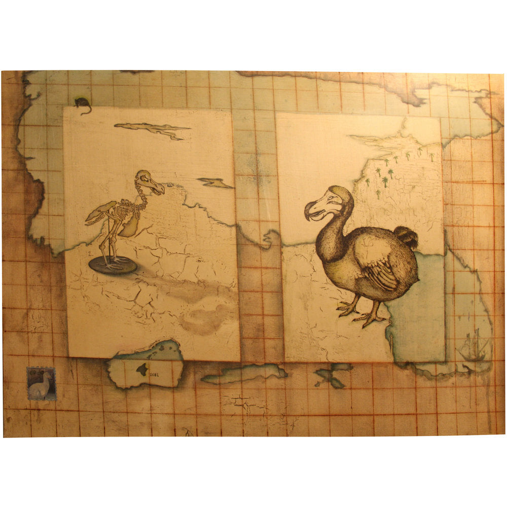 Catherine J. Bebout, Conquest & Evolution