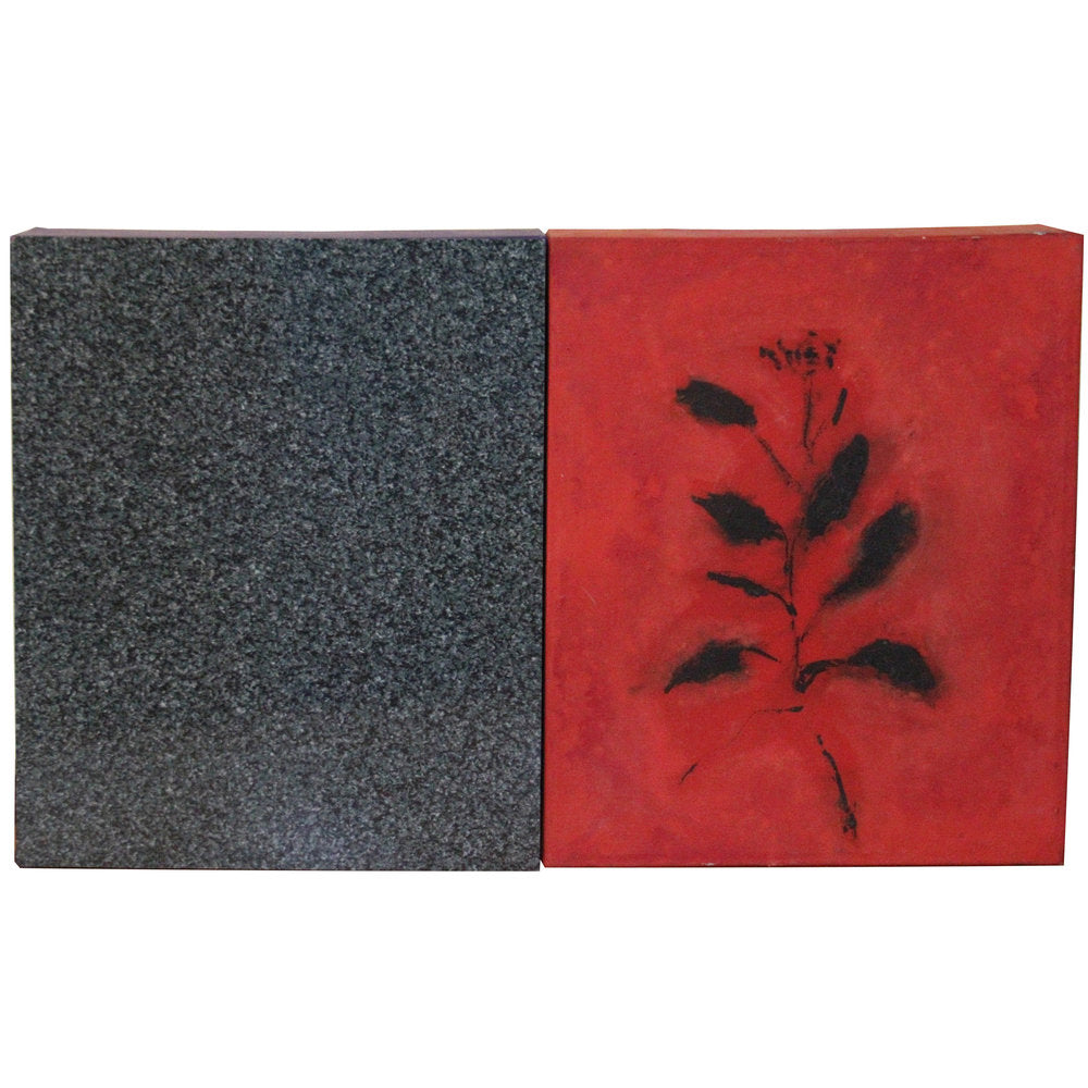 Jaume Barrera, Formica